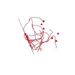 Robinson Stopper Nήματος