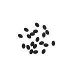 Oceanic Team Μαλακές Χάντρες Οβάλ Black