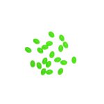 Oceanic Team Μαλακές Χάντρες Οβάλ Glow