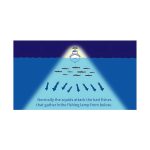 Yamashita Upper 95 - Image 9