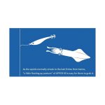 Yamashita Upper 95 - Image 10