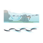 Duel Aile Magnet TG Minnow Slim Floating 145mm / 30gr - F1258 - Image 4